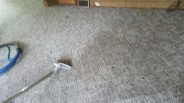 Able OR Cleaning