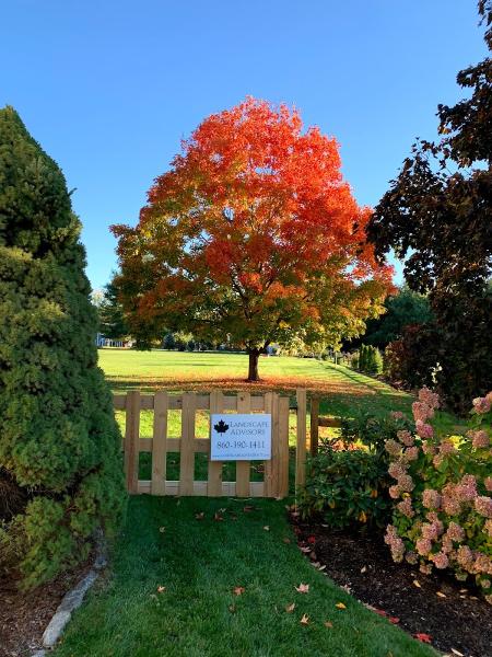 Landscape Advisors LLC