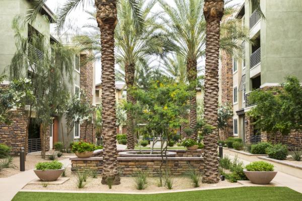 Sierra Sun Landscaping