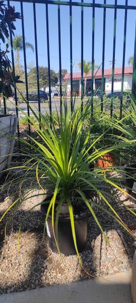 Nurseryland Garden Center