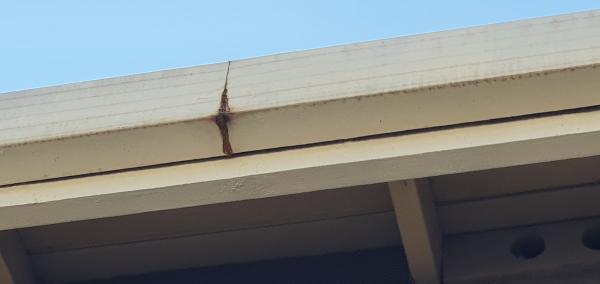 Clear Gutter