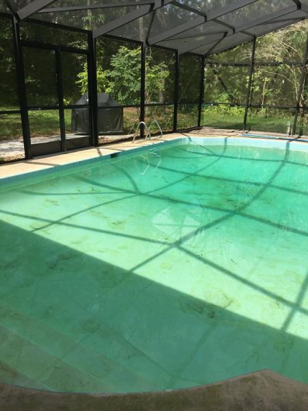 Amenity Pool Services