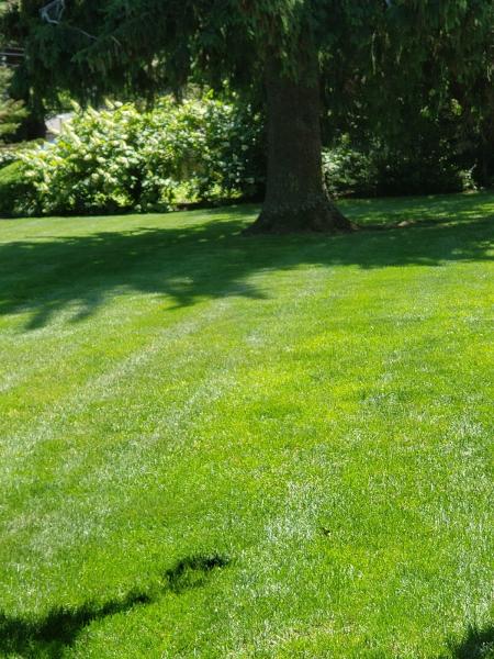 Sarlo's Landscape and Construction Corp