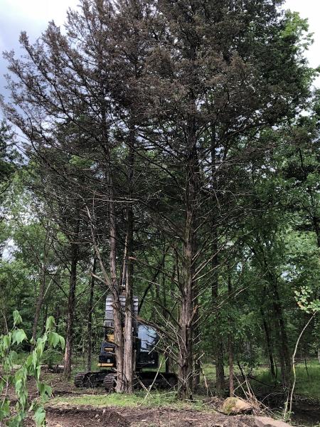 Candler Ewing Excavation LLC