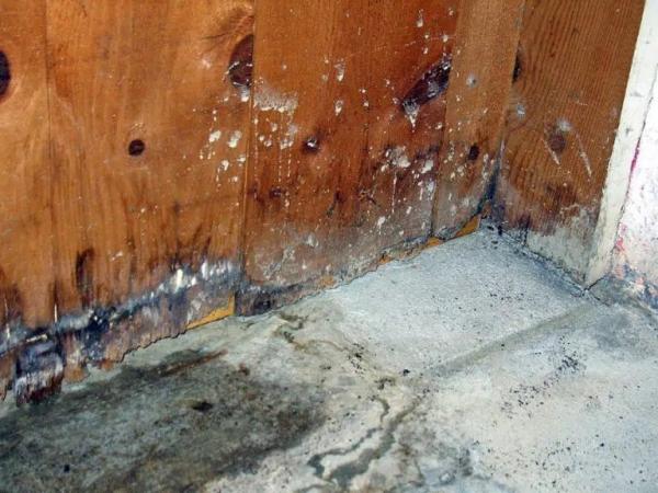 Black Diamond Water Damage & Flood Disaster Restoration