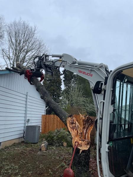 Rose Tree Service & Vegetation Management