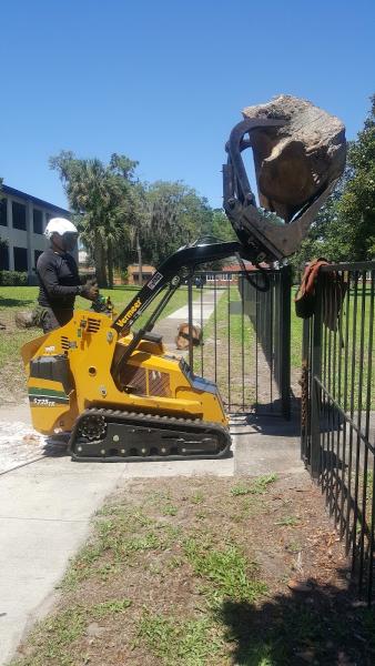 Bam Tree Services
