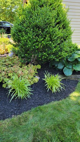 Rossland Landscaping
