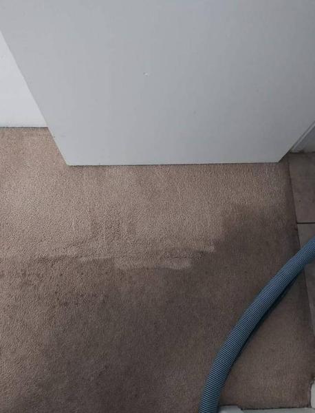 Miller & Sons Carpet Cleaning