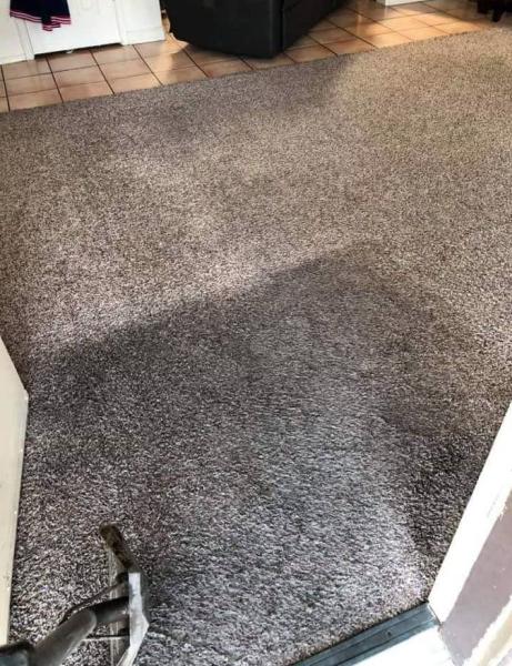 Miller & Sons Carpet Cleaning