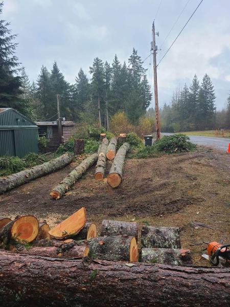 West Coast Tree Pros LLC