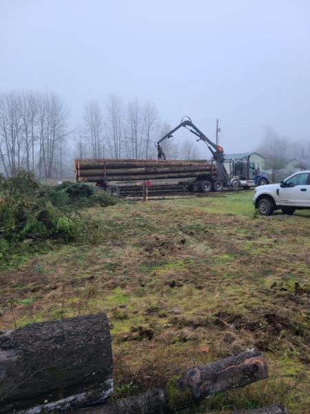 West Coast Tree Pros LLC