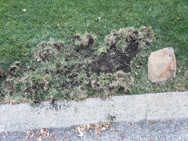 Pest Control Center Inc.
