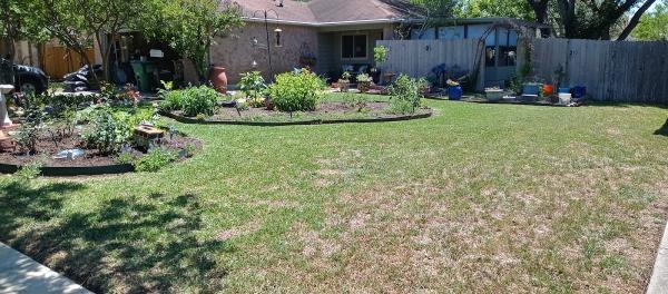 Yard Patrol Llc- Lawn Care Service