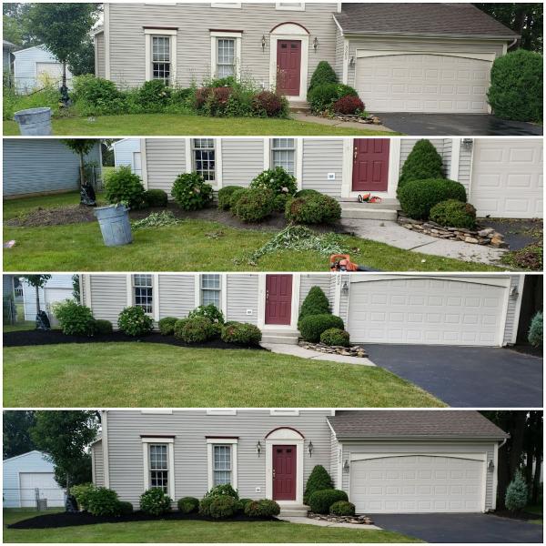 CGS Lawn and Co Inc