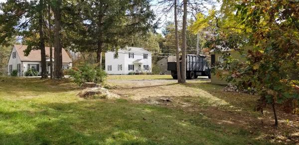 Aspen Tree Service