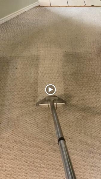 TLC Carpet Cleaning Inc