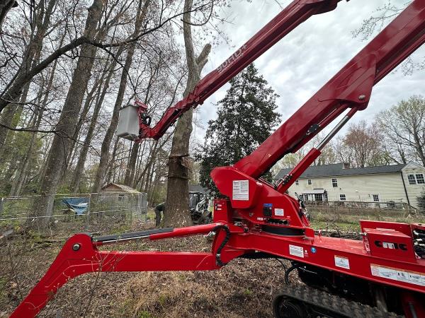 Kenny's Tree Removal