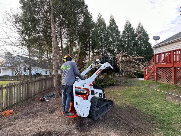 Kenny's Tree Removal