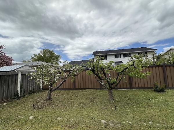 Fili Tree Expert and Landscaping