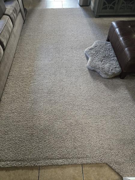 Lewis Carpet Cleaners