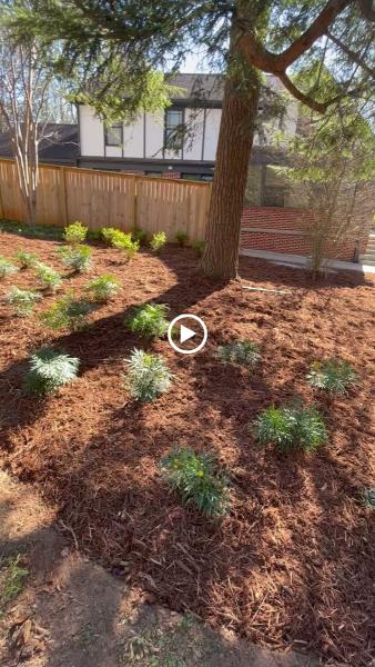 Garden Lights Landscaping