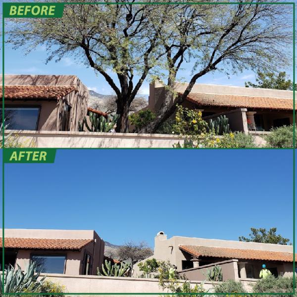 Branching Out Tree Service