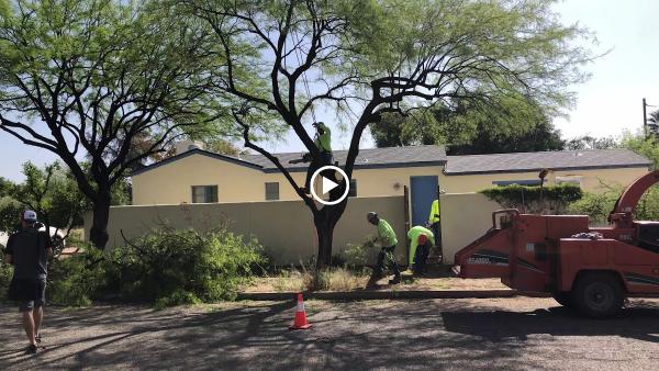 Branching Out Tree Service