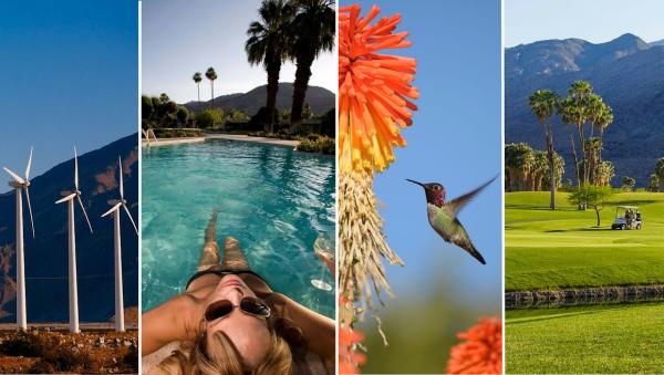 Larson Desert Realty