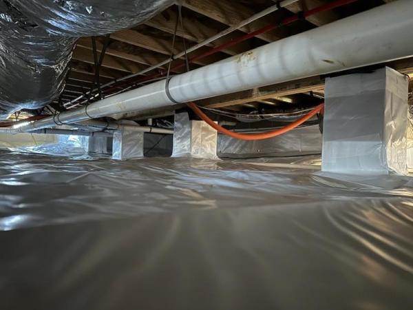 Affordable Crawlspace Care