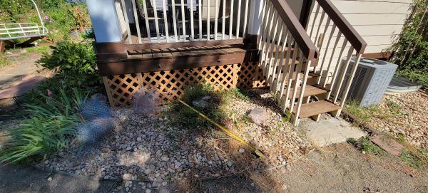 Flatirons Stump Removal