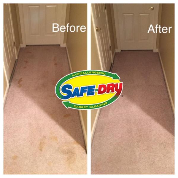 Safe-Dry Carpet Cleaning
