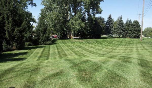 Michigan Grounds Maintenance