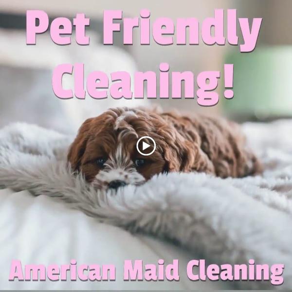 American Maid Service