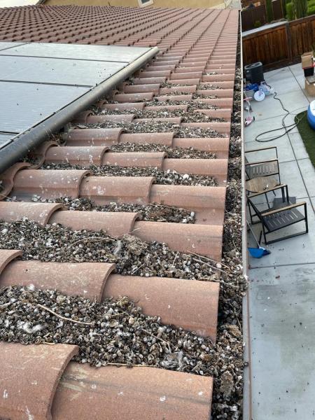 Gutter Cleaning Pros