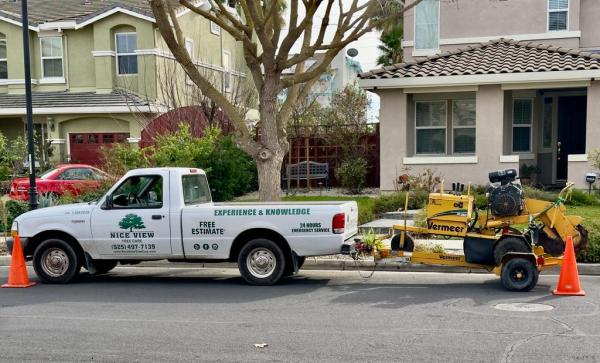 Nice View Tree Care