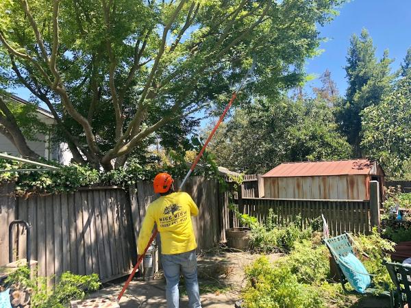 Nice View Tree Care