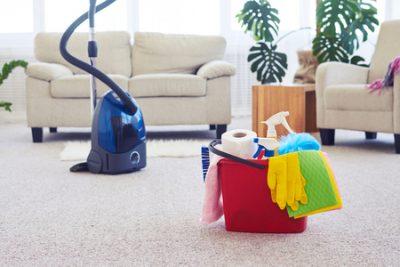 The Local Cleaning Company