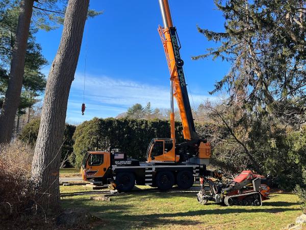 Kelley Tree Service