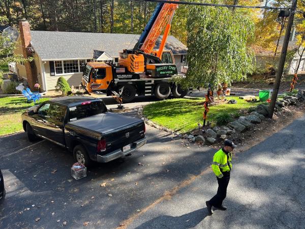 Kelley Tree Service