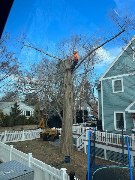 Kelley Tree Service