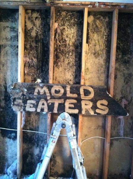 Moldeaters