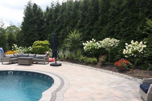 Lacorte Landscapes LLC