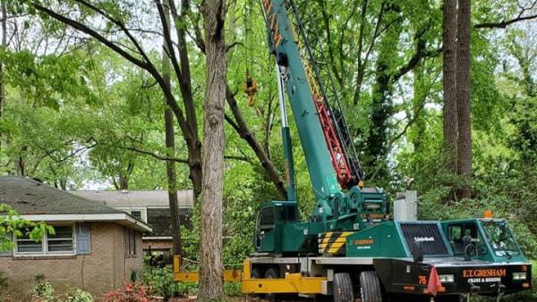 Tree Works