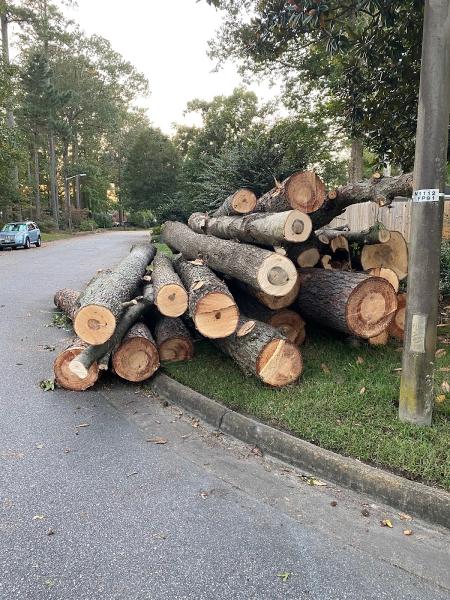 Tree Works