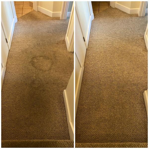 Bay Area Carpet Master