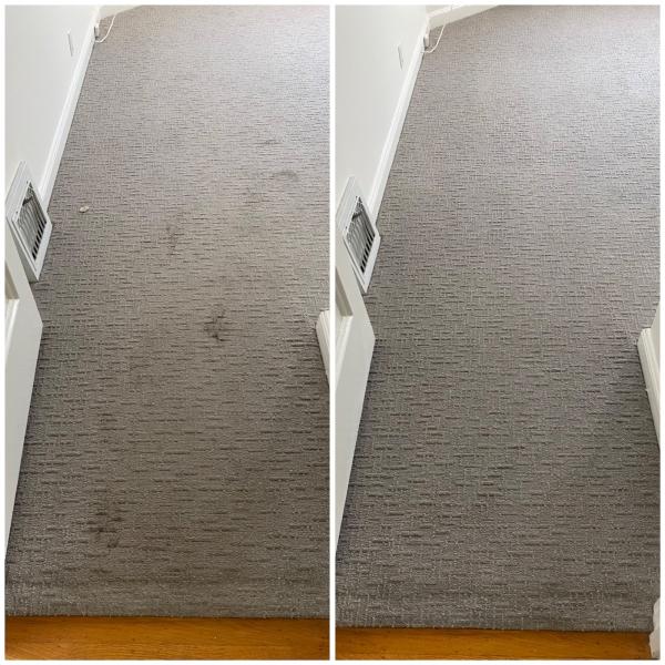 Bay Area Carpet Master