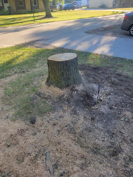 Delgado's Stump Grinding