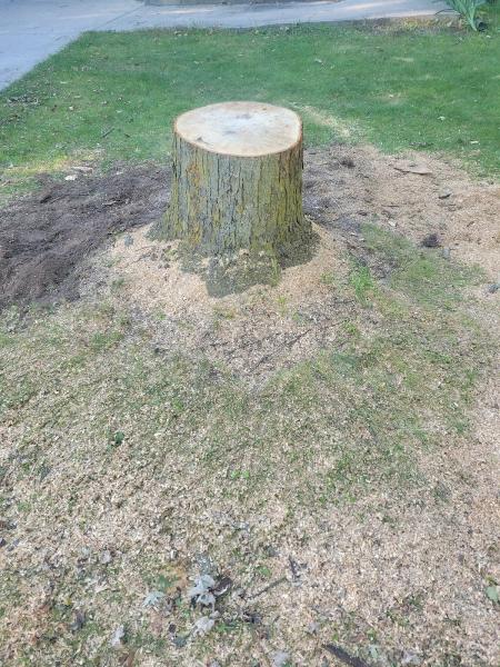 Delgado's Stump Grinding