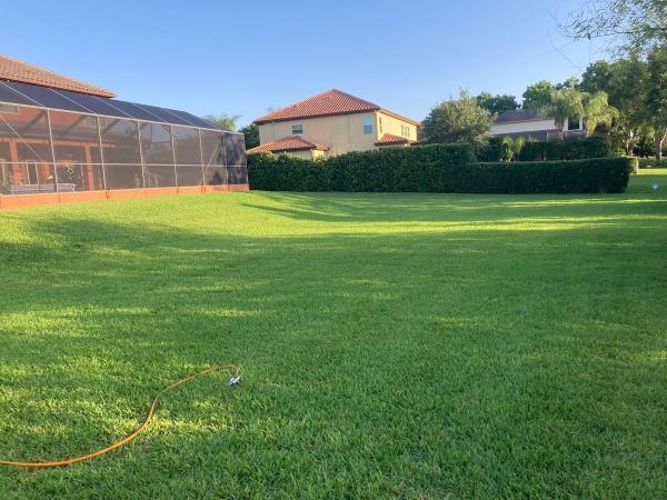 Nvirotect Pest Control Services in Tampa
